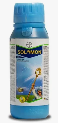 SOLOMON