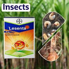 Bayer Lesenta - Imidacloprid 40% + Fipronil 40% ww WG (80 WG)