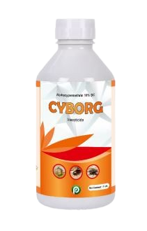 CYBORG