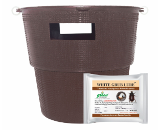 Bucket Trap With Beetle Lure
