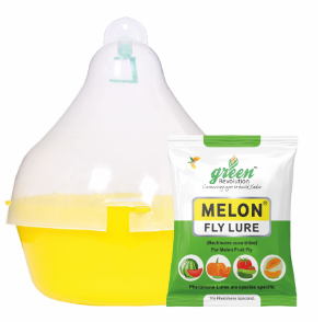 Max-Plus Trap with Melon Fly Lure