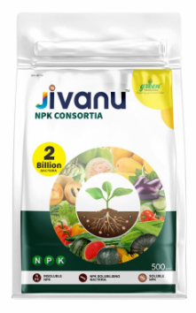 Jivanu NPK Consortia (Bacteria) Pack of 1 (500 Grams).