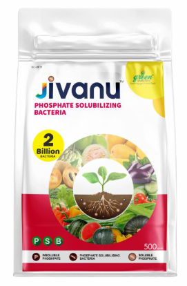  Jivanu PSB (Phosphate Solubilizing Bacteria – PSB) Pack of 1 (500 Gram)