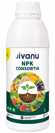Jivanu NPK Consortia Bacteria Liquid- 1 Litre