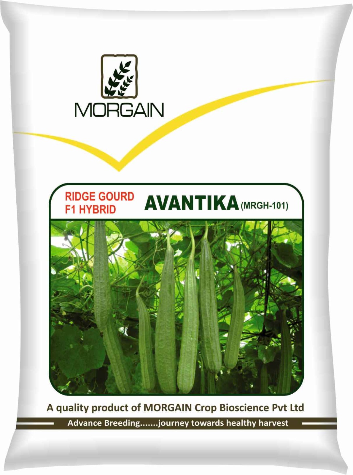 Ridge Gourd	Avantika (F1)