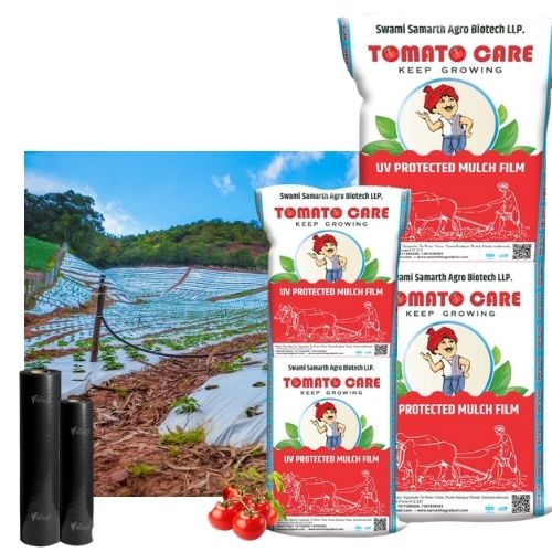 SILVER BLACK MUCHING PAPER -TOMATO MULCH