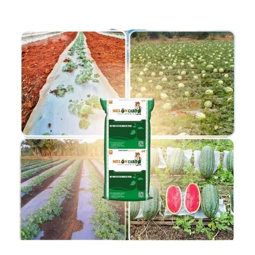 SILVER BLACK MUCHING PAPER - MELON MULCH