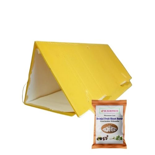 Brinjal Fruit and Shoot Borer Lure with Delta Trap