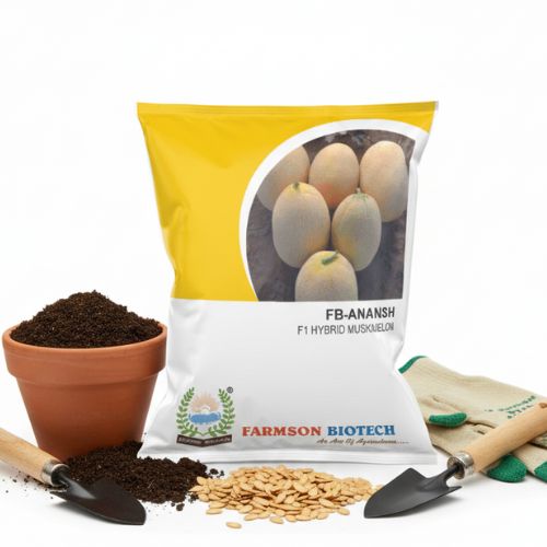 MUSKMELON - FB-ANANSH F1.HY. 