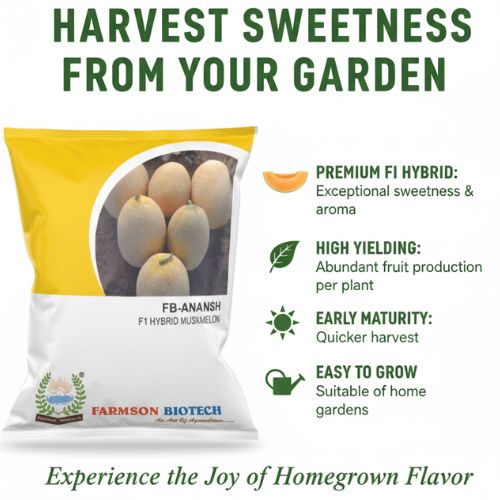 MUSKMELON - FB-ANANSH F1.HY. 