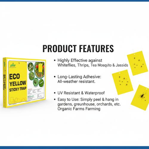 Eco Yellow Sticky Trap 