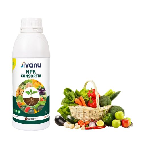 Jivanu NPK Consortia Bacteria Liquid