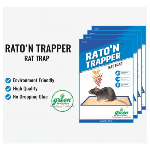 Rat Trap