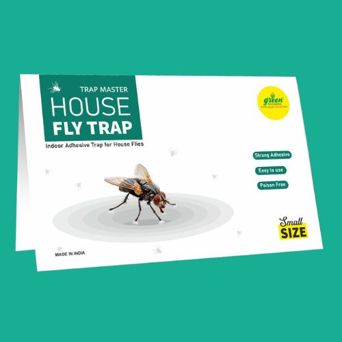 House Fly Trap
