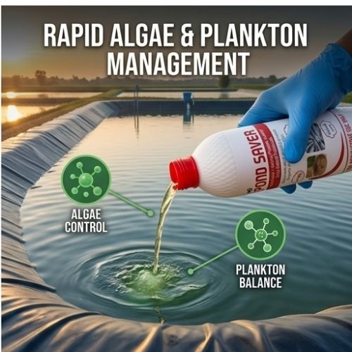 Pond Saver   Advanced Water Care Solution for Aquaculture