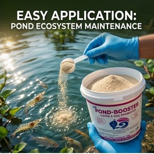 POND BOOSTER  Advanced Water And Soil Probiotics for Aquaculture Ponds