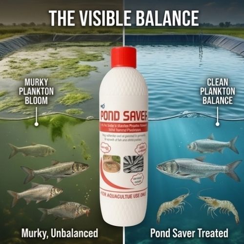 Pond Saver   Advanced Water Care Solution for Aquaculture