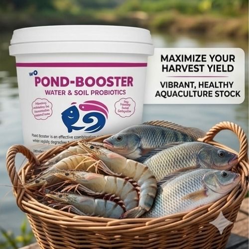 POND BOOSTER  Advanced Water And Soil Probiotics for Aquaculture Ponds