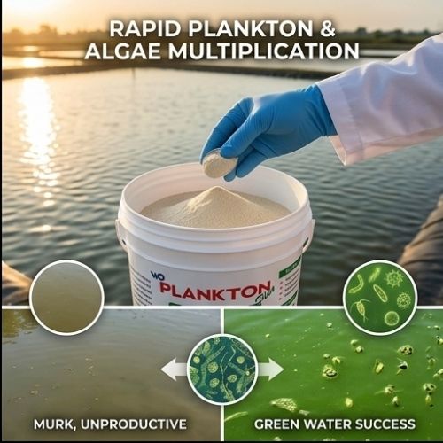 Plankton Plus  Advanced Plankton Booster for Healthy Aquatic Ecosystem