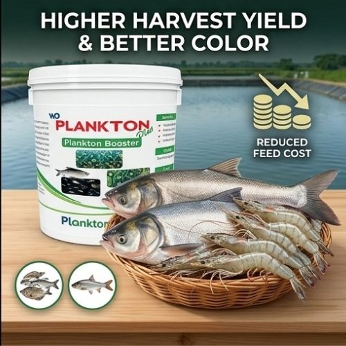 Plankton Plus  Advanced Plankton Booster for Healthy Aquatic Ecosystem