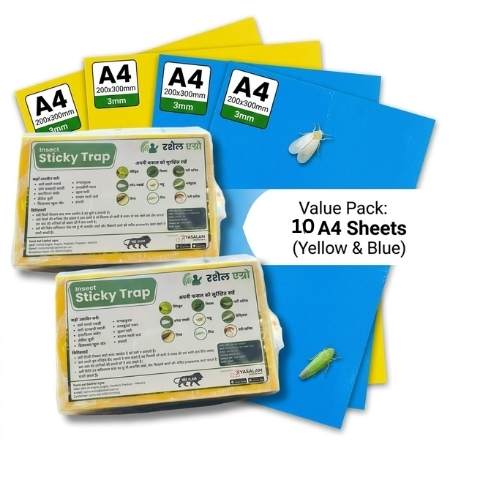 Rashail Insect Stick Trap A4 Yellow and Blue IPM Glue Trap (10 Sheets) for Pest Control
