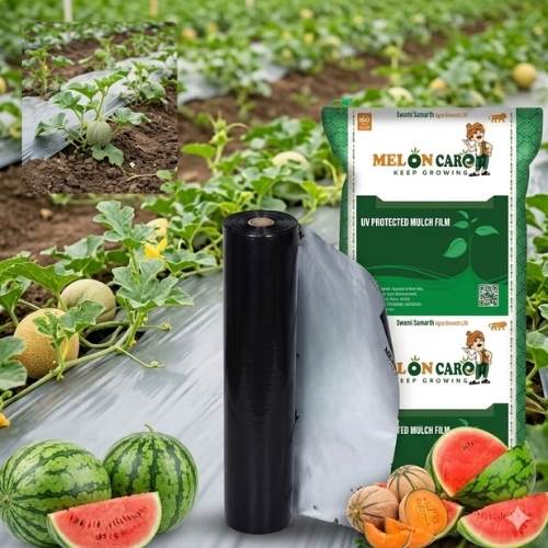 SILVER BLACK MUCHING PAPER - MELON MULCH