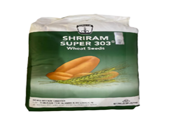 SHRIRAM-303 wheat seed 