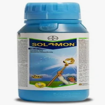 SOLOMON