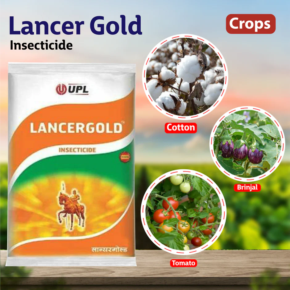 LANCERGOLD 