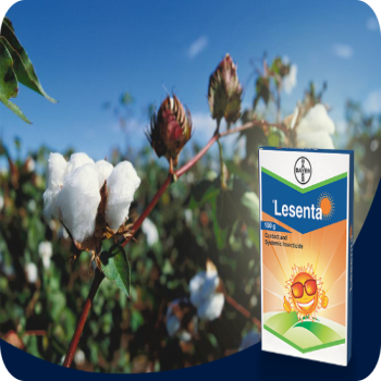 Bayer Lesenta - Imidacloprid 40% + Fipronil 40% ww WG (80 WG)
