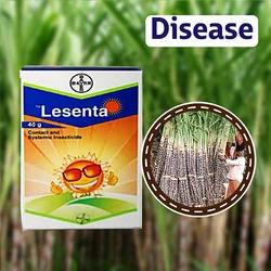 Bayer Lesenta - Imidacloprid 40% + Fipronil 40% ww WG (80 WG)