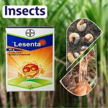 Bayer Lesenta - Imidacloprid 40% + Fipronil 40% ww WG (80 WG)