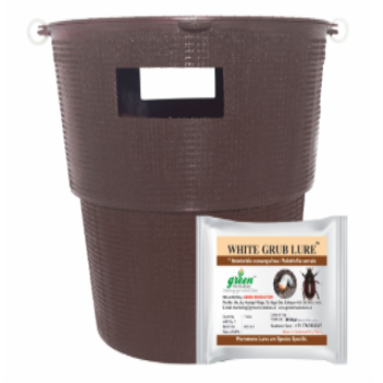 Bucket Trap With Beetle Lure