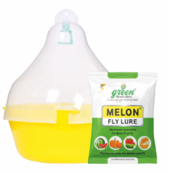 Max-Plus Trap with Melon Fly Lure