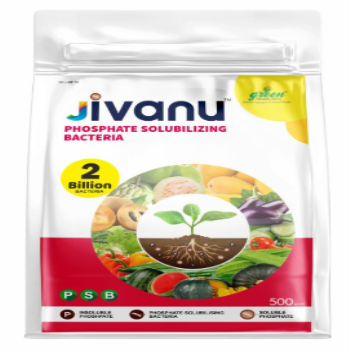  Jivanu PSB (Phosphate Solubilizing Bacteria – PSB) Pack of 1 (500 Gram)