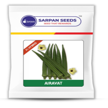 AIRAVAT (f1 Hybrid) Bhendi Seeds