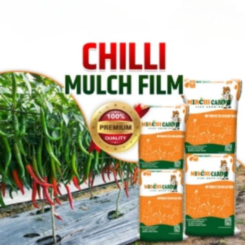 Silver Black Mulching Paper - Mirchi Care