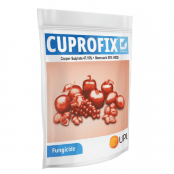 CUPROFIX - 500 gm