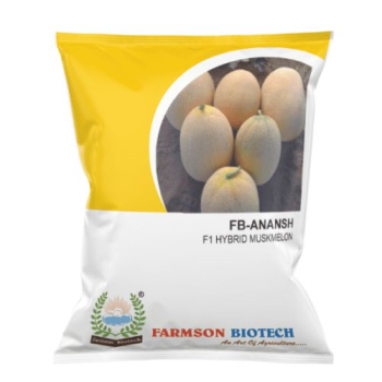 MUSKMELON - FB-ANANSH F1.HY. 