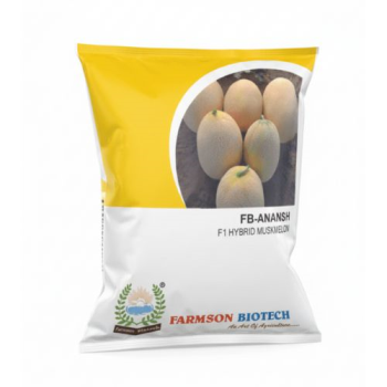 MUSKMELON - FB-ANANSH F1.HY. 