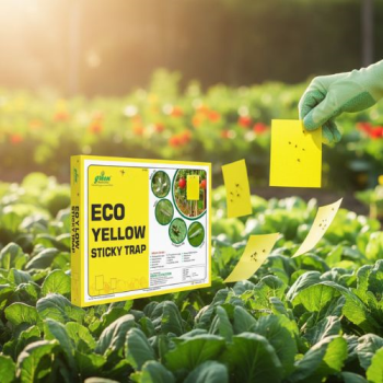 Eco Yellow Sticky Trap 