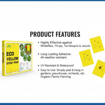 Eco Yellow Sticky Trap 