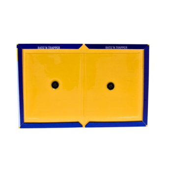 Big Rat Trap