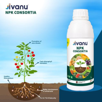 Jivanu NPK Consortia Bacteria Liquid