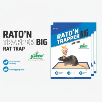 Big Rat Trap