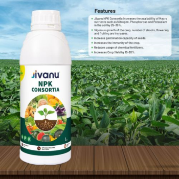 Jivanu NPK Consortia Bacteria Liquid