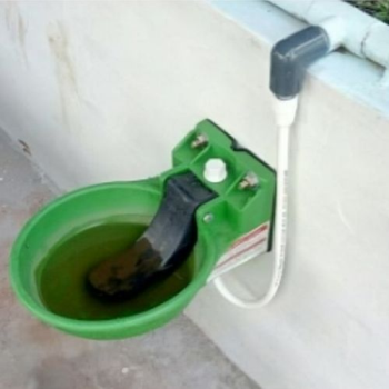 Automatic Livestock Water Bowl