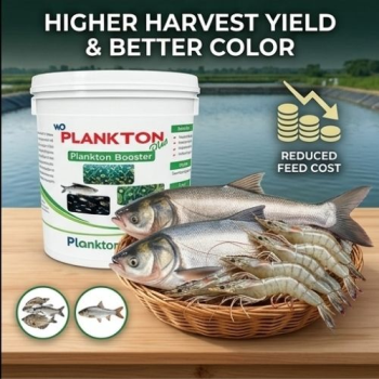 Plankton Plus  Advanced Plankton Booster for Healthy Aquatic Ecosystem