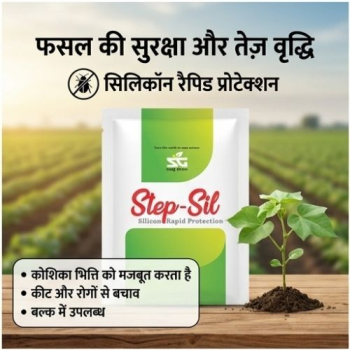 StepSil (Silicon  powder)