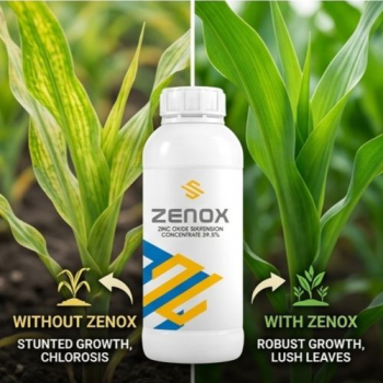Zenox(Zinc Oxide-39.5%)